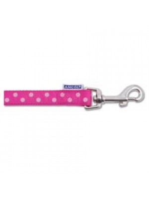 AN VINT POLKA LEAD RASP