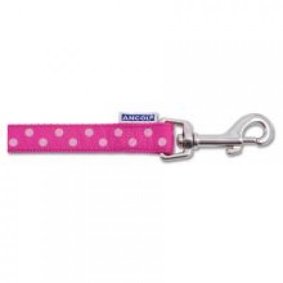 AN VINT POLKA LEAD RASP