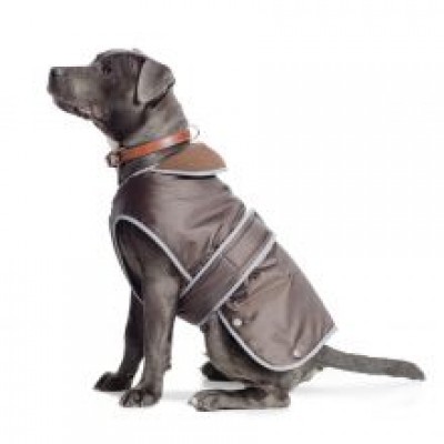 AN STORMGUARD COAT CHOC