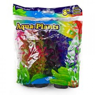 AP COLOURED PLANT 6PK
