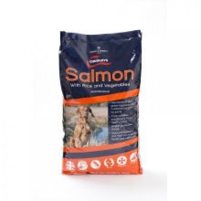 CHUDLEYS MAINTENANCE SALM