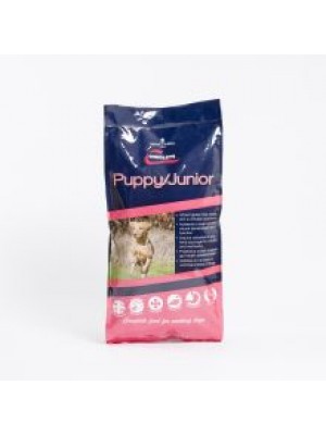 CHUDLEYS PUPPY/JUNIOR