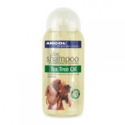 AN TEA TREE SHAMPOO