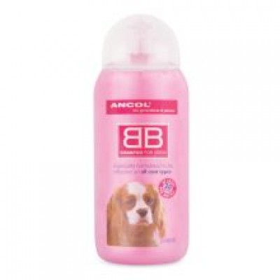 AN BB ALL COATS SHAMPOO