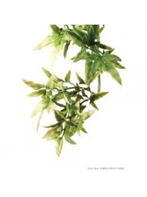 EXO PLAST CROTON SHRUB