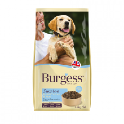 BURGESS SENS PUP TRK&RCE