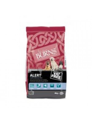 BURNS ALERT LAMB