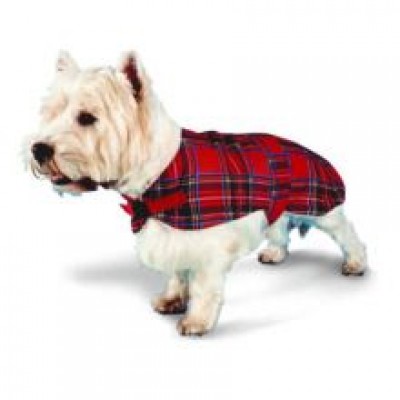 PN DOG COAT TARTAN RED