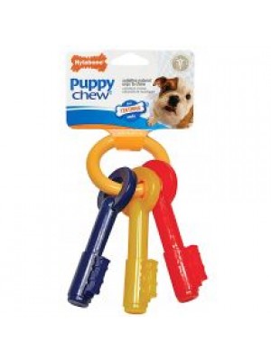 N/BONE PUPPY KEYS MED