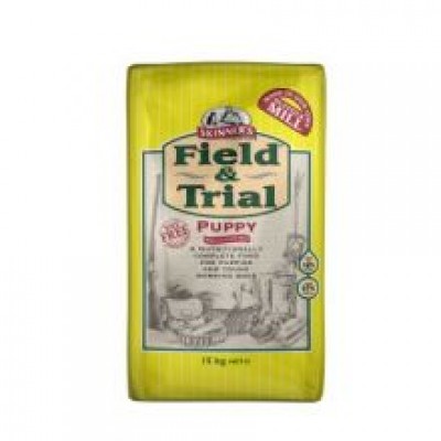 FIELD&TRIAL PUPPY