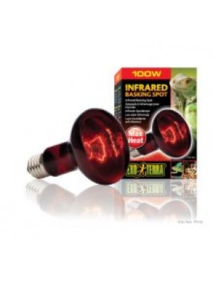 EXO INFRARED BASKING SPOT