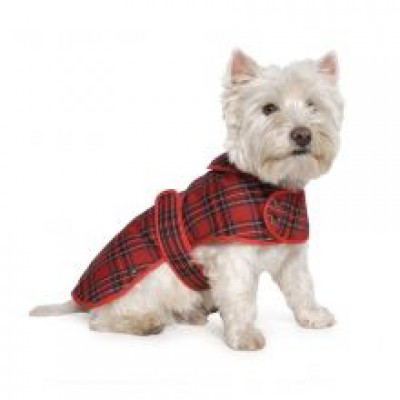 AN HIGHLAND RED TARTAN