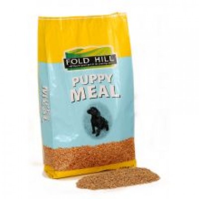 FOLDHILL PLAIN PUPPY