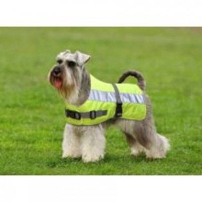 FLECTALON DOG COAT YELLW