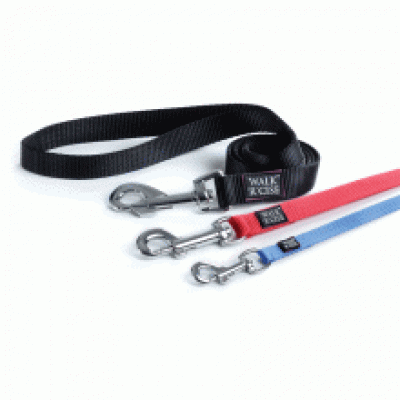 WRC RED LEAD