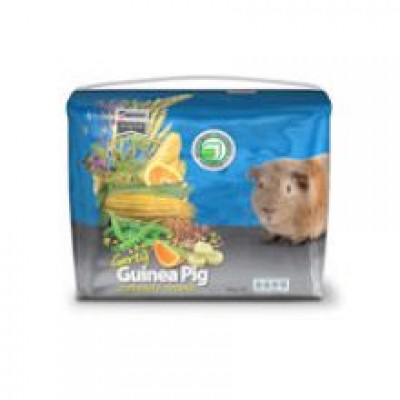 GERTY GUINEA PIG