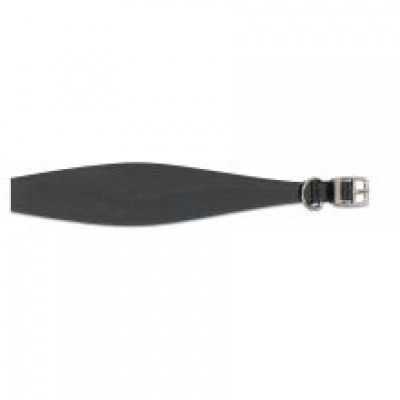 AN GREYHOUND COL BRD BLK