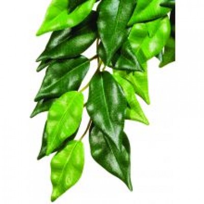 EXO SILK FICUS PLANT