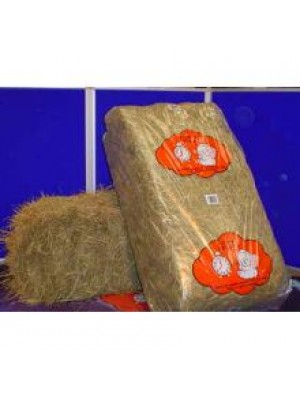 A/DREAMS HAY BALE