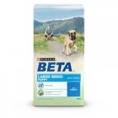 BETA LARGE BREED PUPPY
