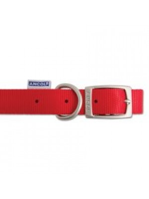 AN NYLON DOG COLLAR RED