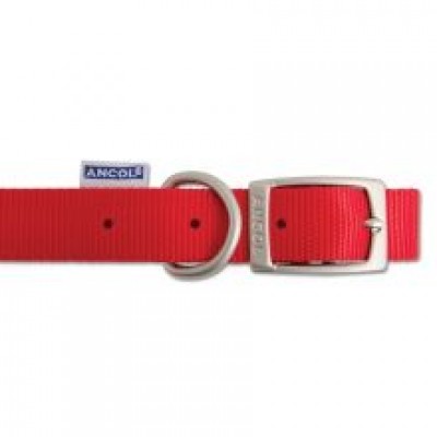 AN NYLON DOG COLLAR RED