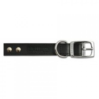 AN LTHR COLL STUDDED BLK
