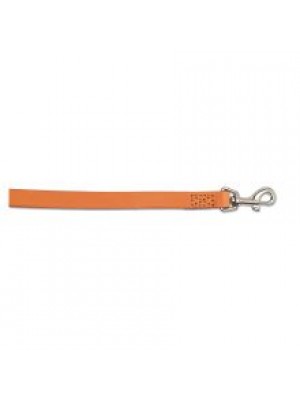 AN LTHR LEAD TAN